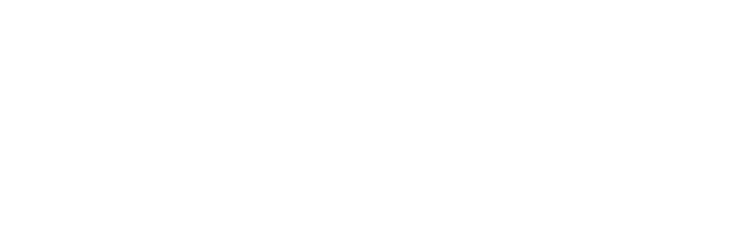 Djinn Digital Logo